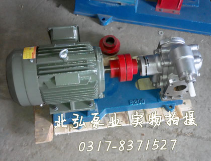 KCB-200不锈钢齿轮泵